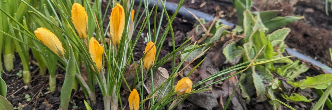 TCM_Article_Featured-scaled